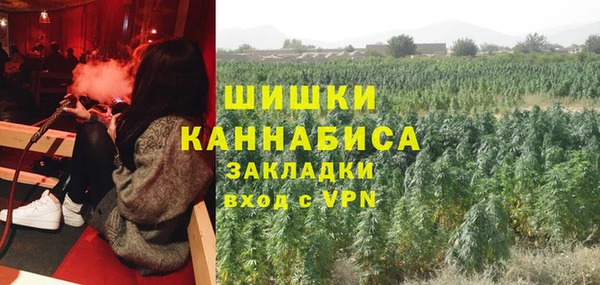 spice Алексеевка