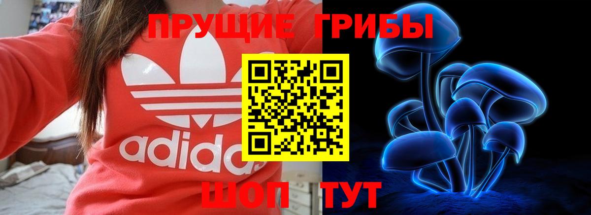 Псилоцибиновые грибы мухоморы  Вход с VPN  Белореченск  Псилоцибиновые грибы Psilocybe 